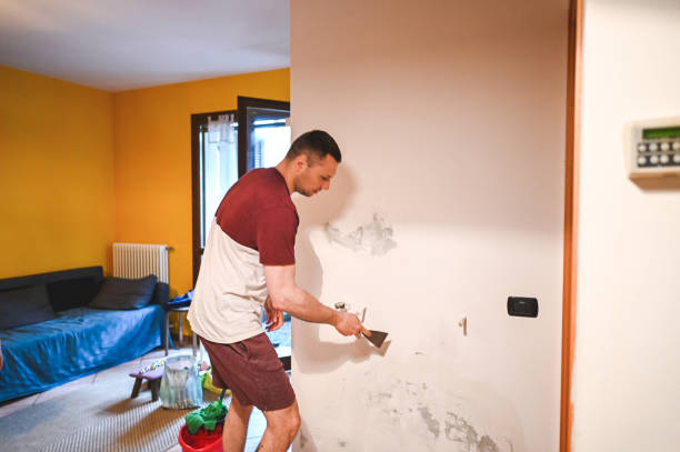 Best Home Mold Removal  in St John, MO